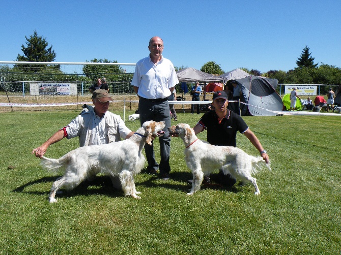 Des Bords De La Trézence - Spéciale de race setter Aulnay 