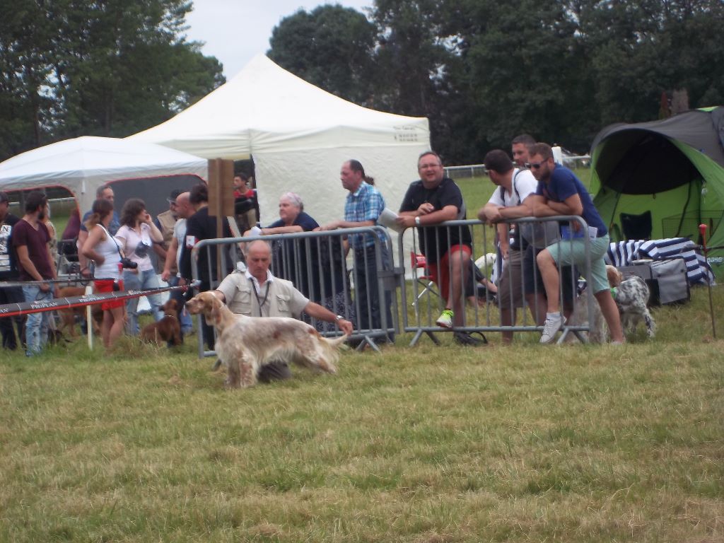 Des Bords De La Trézence - Exposition canine Jarnac le 3 juillet 2016. 