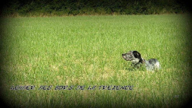 Des Bords De La Trézence - TAN CHARENTE MARITIME