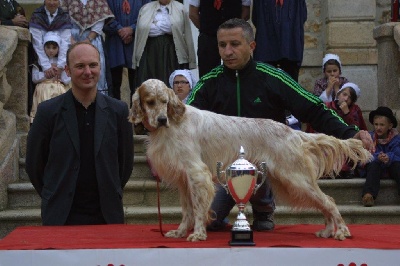 Des Bords De La Trézence - Nationale setter club 2011