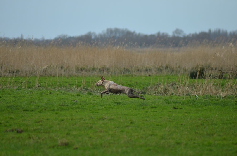 TR. Europe des Pays de Loire