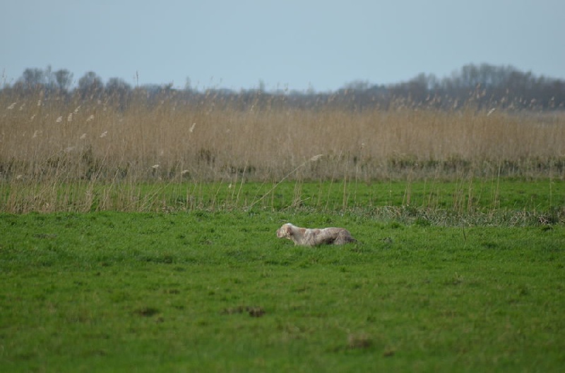 TR. Europe des Pays de Loire