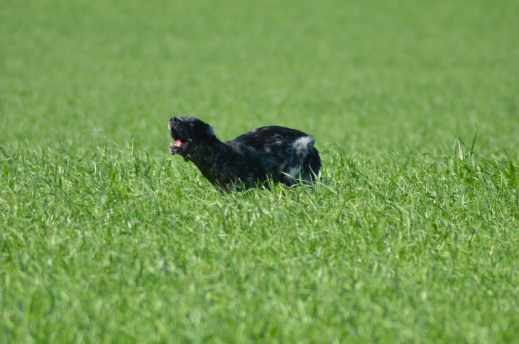 Nabila Des Bords De La Trézence