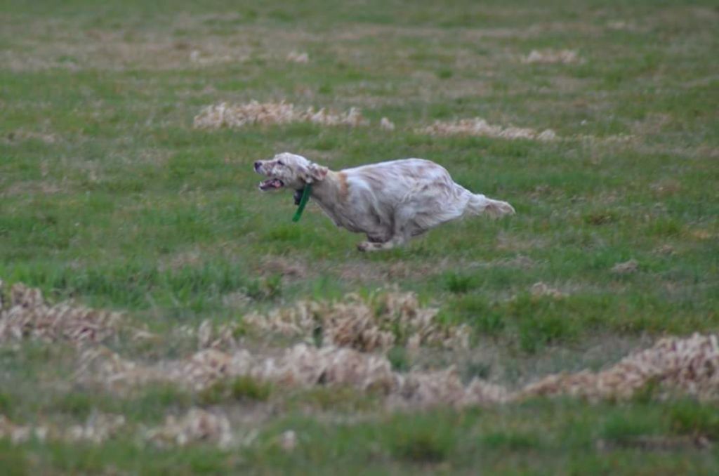 Manonegra Des Bords De La Trézence