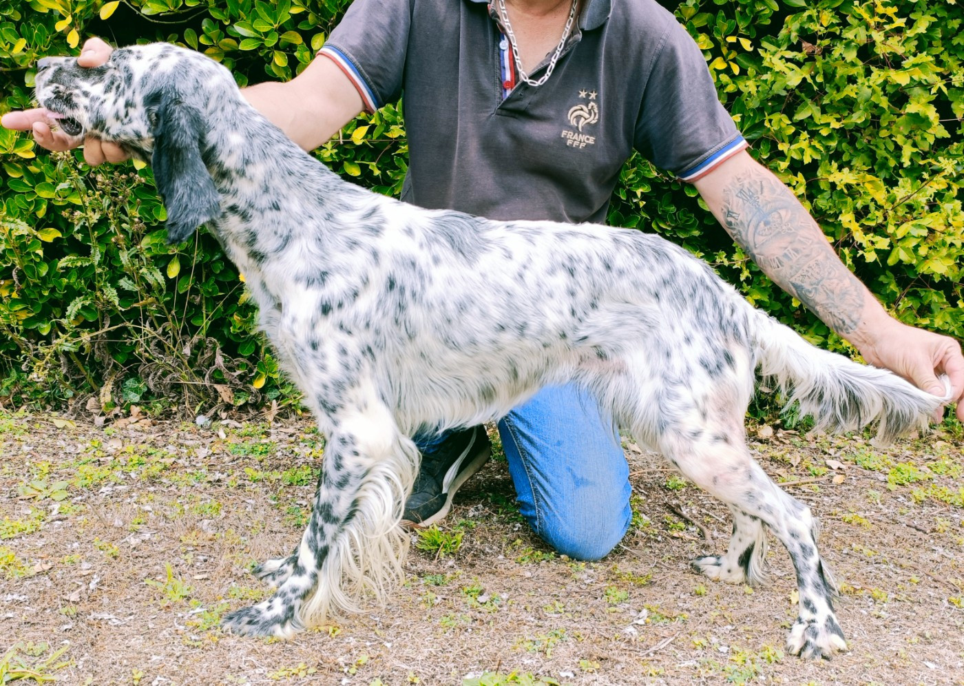 Uraya De Bernacaille